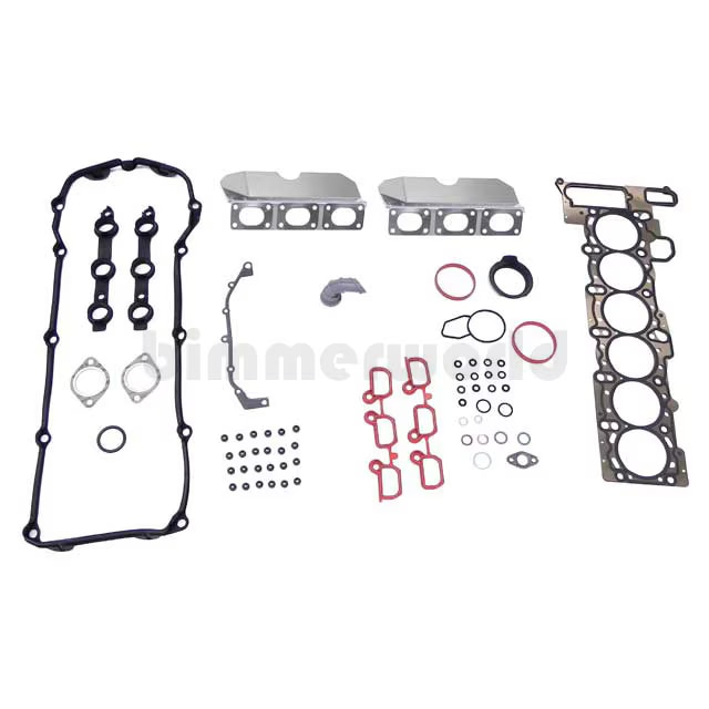 BMW VANOS Gasket /& 4 Oring Seals Victor Reinz Timing Camshaft Cover E39 E46 M54