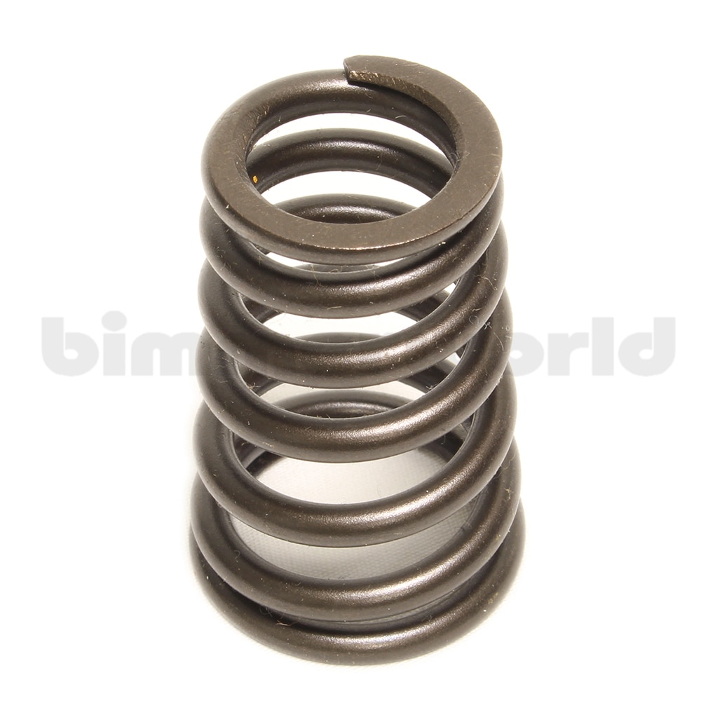 Valve Spring
