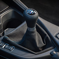interior-shift-knob-manual-M2-TN.jpg