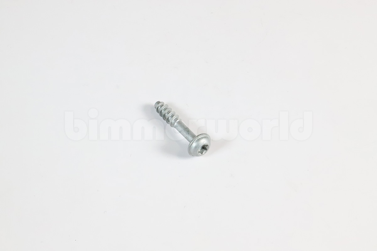 Genuine BMW Fillister Head Screw - 13717545438