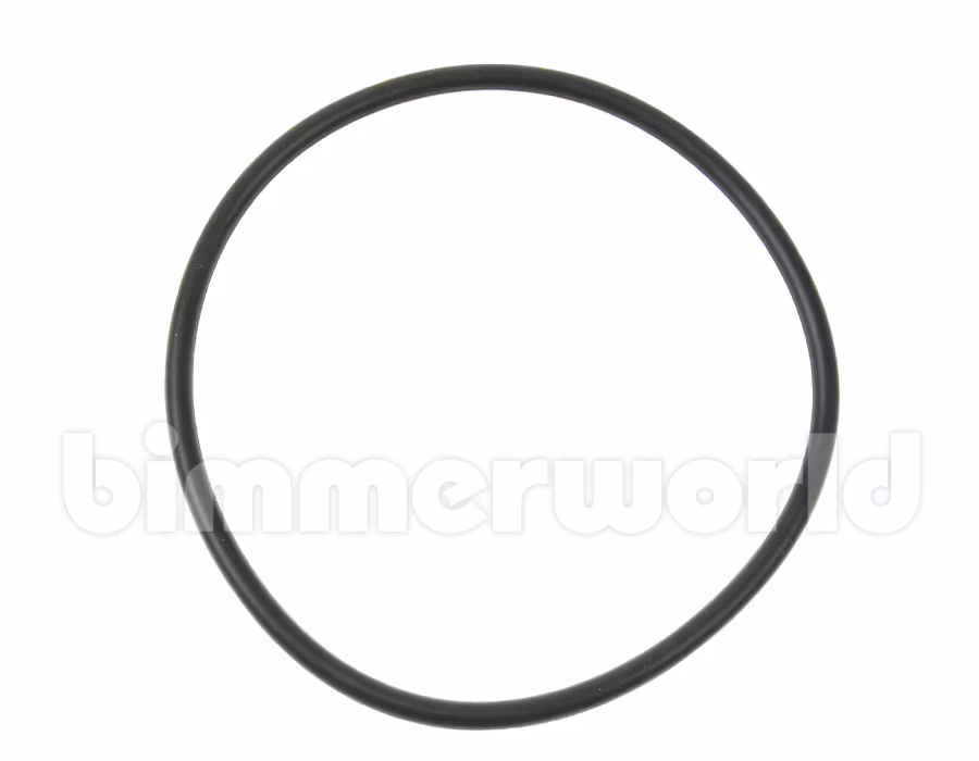 Genuine BMW Fuel Pump ORing Fuel Pump to Fuel Tank