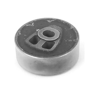 33171134802-E30-IX-Diff-Bushing-tn.jpg