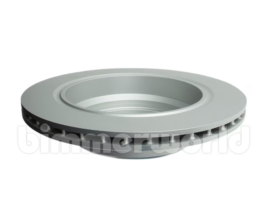 Rear Brake Rotor, OEM E39 525i, 528i, 530i, 540i
