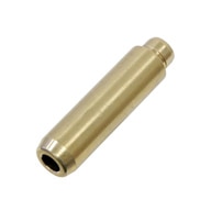 BMW-09-0387-020-SF-Canyon-Valve-Guide-sm.jpg