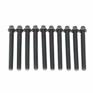 BMW-11121721939-11-12-1-721-939-SF-Victor-Reinz-Cylinder-Head-Bolt-Set-sm.jpg