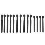 BMW-11127574303-11-12-7-574-303-SF-Victor-Reinz-Cylinder-Head-Bolt-Set-sm.jpg