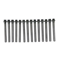 BMW-11127831862-11-12-7-831-862-SF-Victor-Reinz-Cylinder-Head-Bolt-Set-sm.jpg