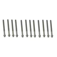 BMW-11127838831-11-12-7-838-831-SF-AJUSA-Cylinder-Head-Bolt-Set-sm.jpg