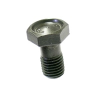 BMW-11220616143-11-22-0-616-143-SF-Genuine-BMW-Flywheel-Bolt-sm.jpg