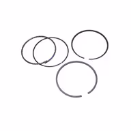 BMW-11251713192-11-25-1-713-192-SF-Goetze-Piston-Ring-Set-sm.jpg