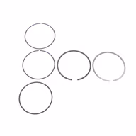 BMW-11257511697-11-25-7-511-697-SF-NPR-Piston-Ring-Set-sm.jpg