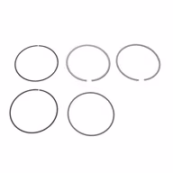 BMW-11259071606-11-25-9-071-606-SF-Mahle-Piston-Ring-Set-sm.jpg