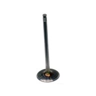 BMW-11341435480-11-34-1-435-480-SF-Intervalves-Intake-Valve-sm.jpg