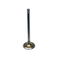 BMW-11341722908-11-34-1-722-908-SF-Intervalves-Intake-Valve-sm.jpg