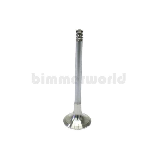 BMW Exhaust Valve 11341722909