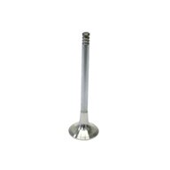 BMW-11341722909-11-34-1-722-909-SF-Intervalves-Exhaust-Valve-sm.jpg