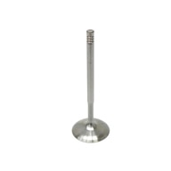 BMW-11347503737-11-34-7-503-737-SF-Intervalves-Intake-Valve-sm.jpg