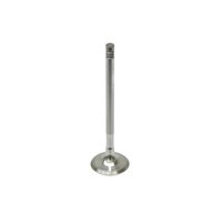 BMW-11347503738-11-34-7-503-738-SF-Intervalves-Exhaust-Valve-sm.jpg