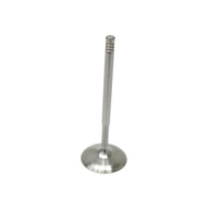 BMW-11347541555-11-34-7-541-555-SF-Intervalves-Intake-Valve-sm.jpg