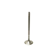 BMW-11347553772-11-34-7-553-772-SF-Intervalves-Exhaust-Valve-sm.jpg