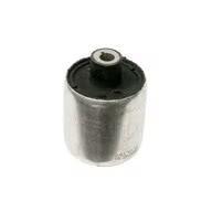 BMW-31126855743-31-12-6-855-743-SF-Lemforder-Bushing-sm.jpg