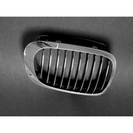 BMW-51138208686-51-13-8-208-686-SF-Genuine-BMW-Grille-sm.jpg