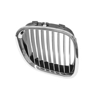 BMW-51138412950-51-13-8-412-950-SF-Genuine-BMW-Grille-sm.jpg