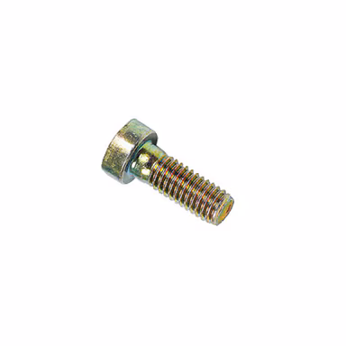 Bolt-Coolant-Pump-M16x6-BMW-9905494-tn.jpg