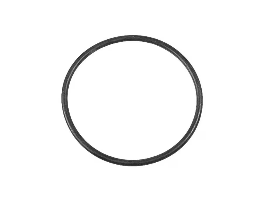 Rein Thermostat ORing for BMW E39 540i, E38 740i/750iL, E31 840ci/850i