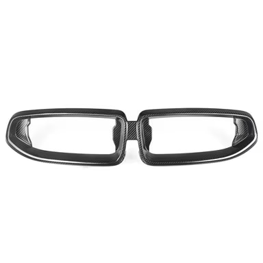 Carbon-Fiber-Front-Grilles-G42-51138098220-face-sm.jpg