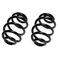 E36-M3-Rear-Springs-tn.jpg