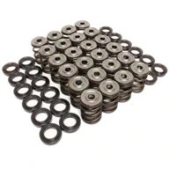 Epic_Valve_Springs_1_TN.jpg