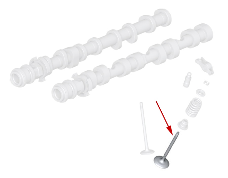 Exhaust Valve for Cylinder Head, Genuine BMW N63N N63B N63R S63M S63N