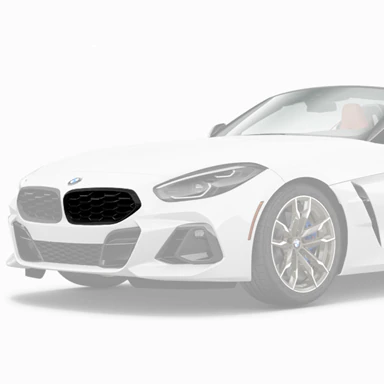 G29-Z4-Shadowline-Grille-Left-tn.jpg