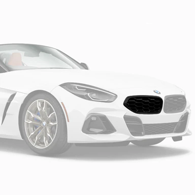 G29-Z4-Shadowline-Grille-Right-tn.jpg
