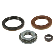 G420-SEAL-KIT-Genuine-tn.jpg