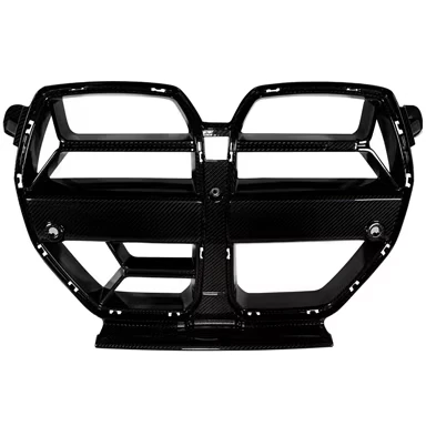 G8XCSLG-ACC-Carbon-CSL-Style-Grille-tn.jpg