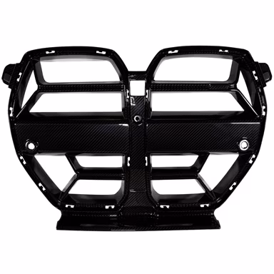 G8XCSLG-Carbon-Grille-CSL-Style-MAIN-tn.jpg