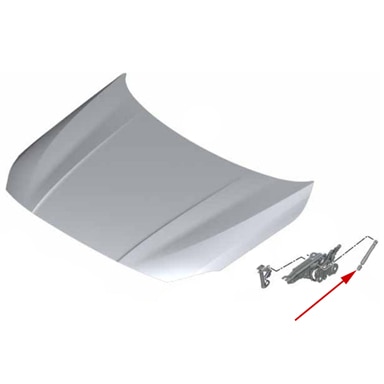 Hood-Shock=F44-2-Series-ETK-tn.jpg