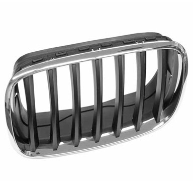 Kidney-Grille-Chrome-Black-E70-E71-Left-SF-tn.jpg