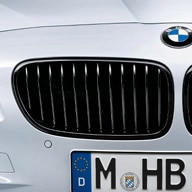 M-Performance-Black-Grilles-F10-installed-close-bmw-right-tn.jpg