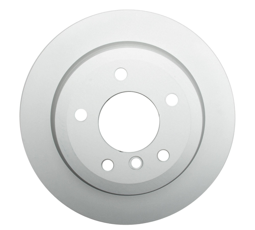 OEM Rear Brake Rotor for BMW E9X 325xi/328xi, E91/E93 328i RWD, E84 X1