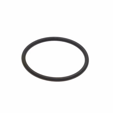 Sasket-Ring-WP-Tstat-B58A-BMW-WP-tn.jpg