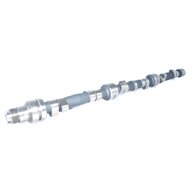 Schrick-Camshaft-M30-00220182000-studio-tn.jpg