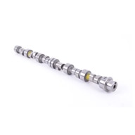 Schrick-Performance-Camshaft-E30-325i-E34-525i-M20-288-1-tn.jpg