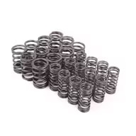 Schrick-Valve-Spring-Set-E30-325i-E34-525i-M20-1-tn.jpg