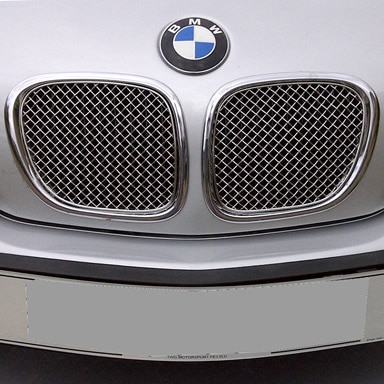 Stainless-Mesh-Kidney-Grille-Set-Z3-silver-installed-sm.jpg