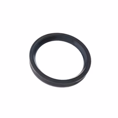 Vacuum-Pump-Shaft-Seal-Elring-SF-tn.jpg