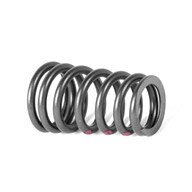 Genuine BMW Valve Spring - M52 M52TU M54 & M56 - 11347504268