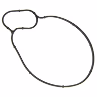Water-Pump-Gasket-OEM-Elring-11517549445-im-tn.jpg